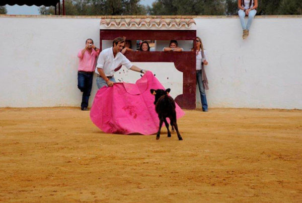 Частная площадь для боя быков Испания фото