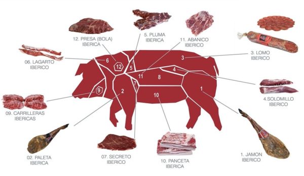 Схема иберийской свиньи фото